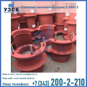 Сальники нажимные серия 5.900-3 в Пензе
